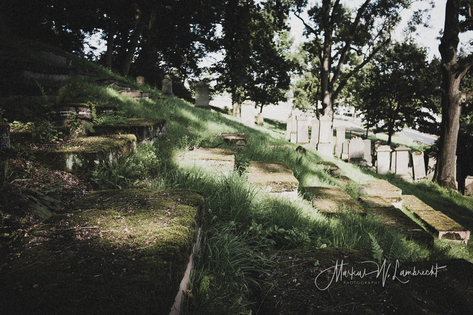 Adelebsen, Jüdischer Friedhof